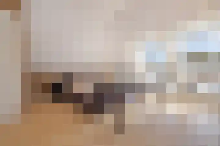 Amroth 24 Geldrop thumbnail 43