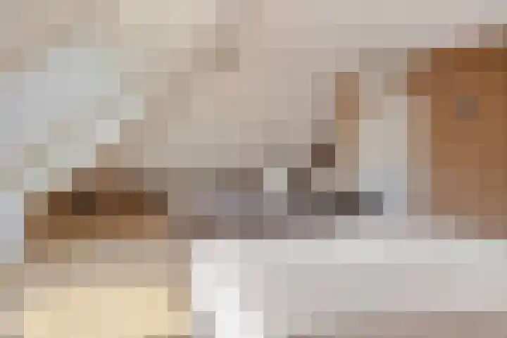 Amroth 24 Geldrop thumbnail 44
