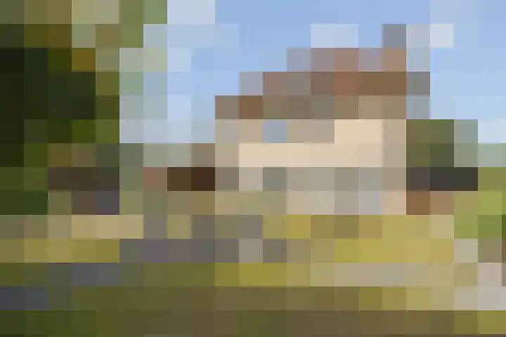 Amroth 24 Geldrop thumbnail 48