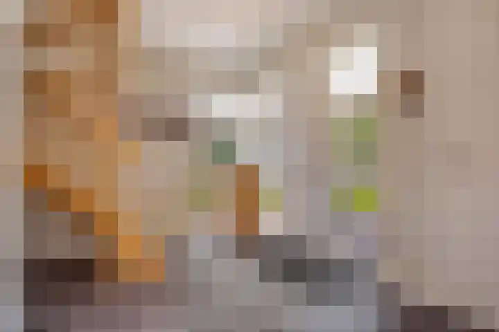 Amroth 24 Geldrop thumbnail 5