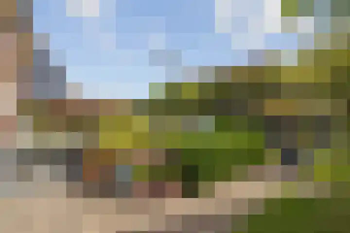 Amroth 24 Geldrop thumbnail 51