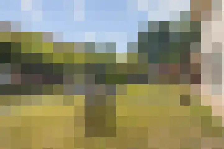 Amroth 24 Geldrop thumbnail 53