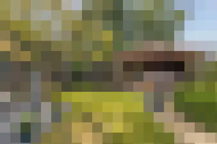 Amroth 24 Geldrop thumbnail 54