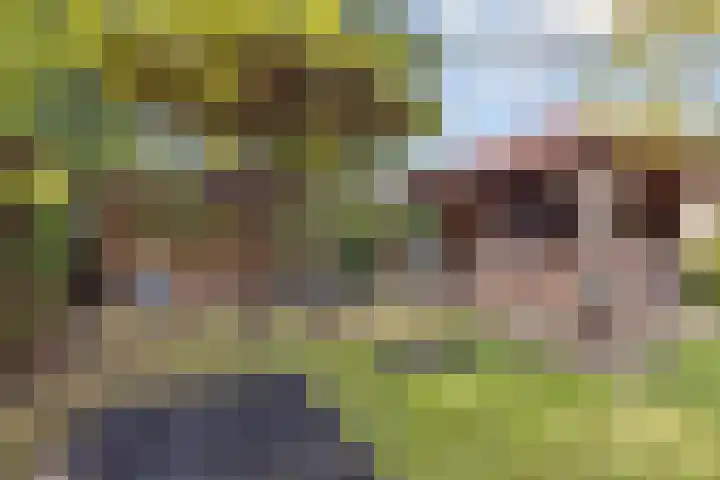 Amroth 24 Geldrop thumbnail 55