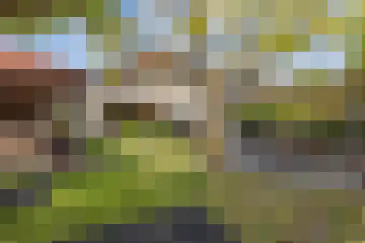 Amroth 24 Geldrop thumbnail 56