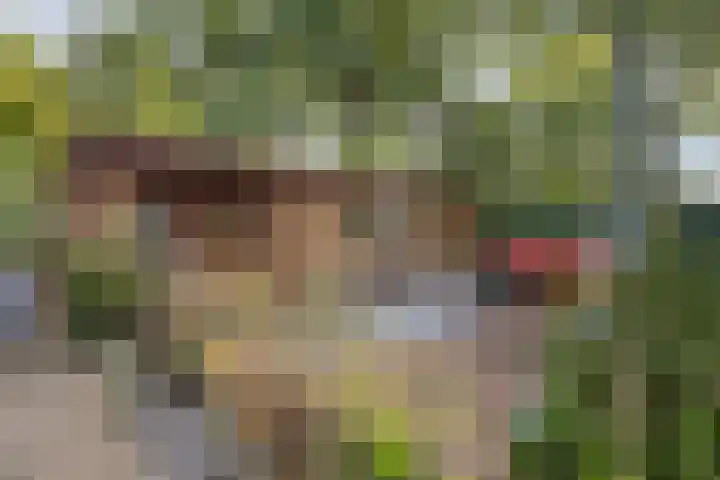 Amroth 24 Geldrop thumbnail 59