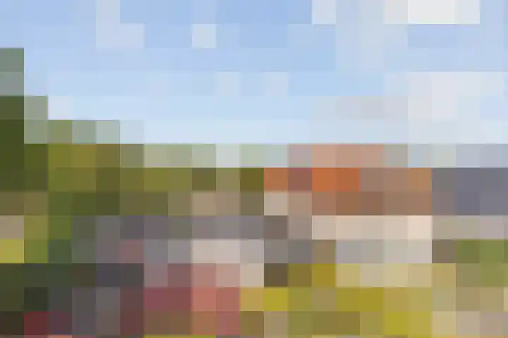 Amroth 24 Geldrop thumbnail 61