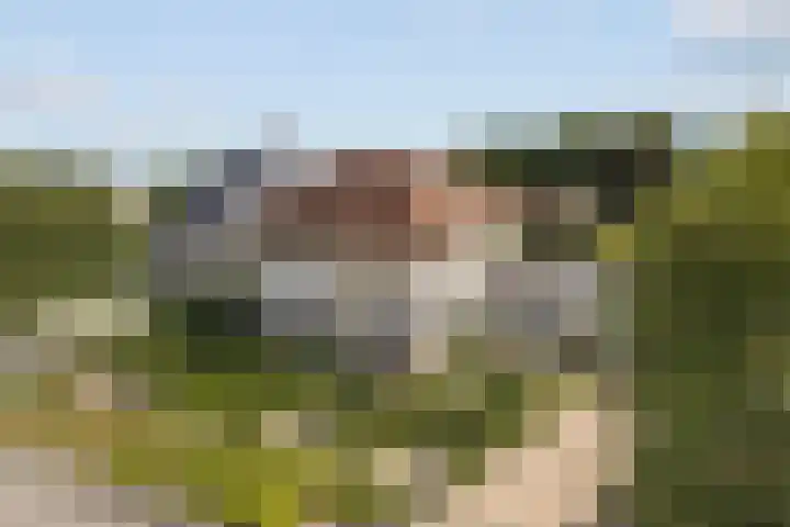Amroth 24 Geldrop thumbnail 62
