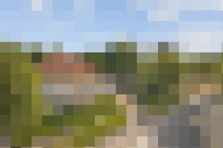 Amroth 24 Geldrop thumbnail 63