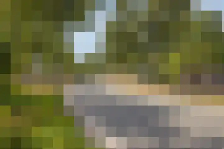 Amroth 24 Geldrop thumbnail 65