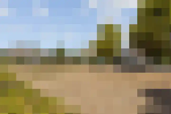 Amroth 24 Geldrop thumbnail 68