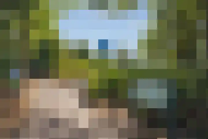 Amroth 24 Geldrop thumbnail 69