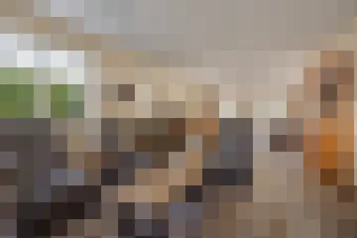 Amroth 24 Geldrop thumbnail 8
