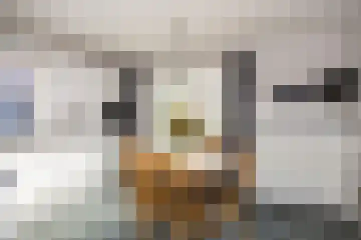 Amsinksweg 18 Vasse thumbnail 14