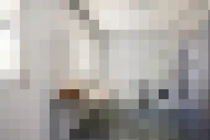 Amsinksweg 18 Vasse thumbnail 18