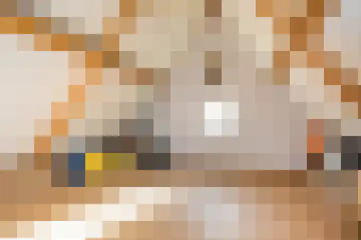 Amsinksweg 18 Vasse thumbnail 31
