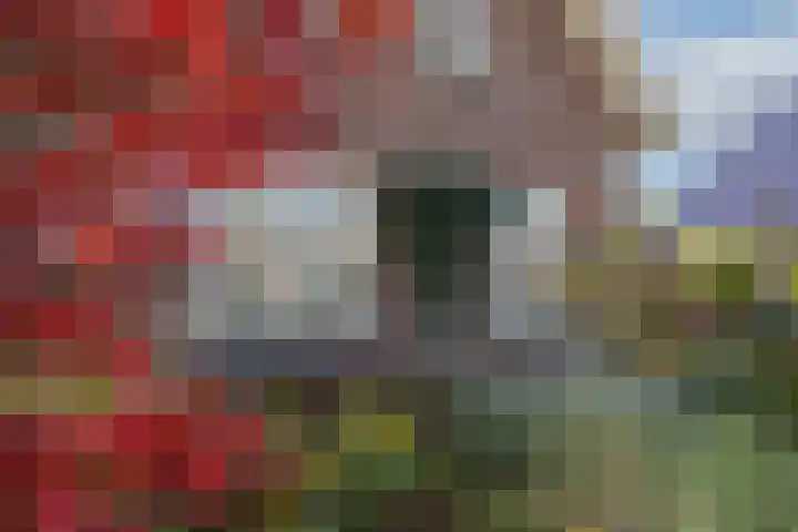 Amsinksweg 18 Vasse thumbnail 40