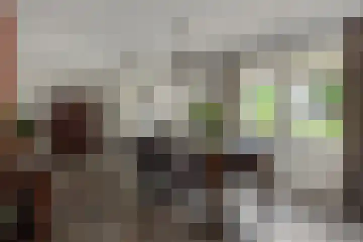 Amstel 18 Deurne thumbnail 11