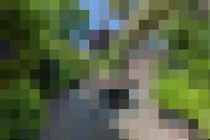 Amstel 18 Deurne thumbnail 12