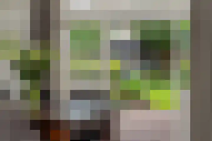 Amstel 18 Deurne thumbnail 12