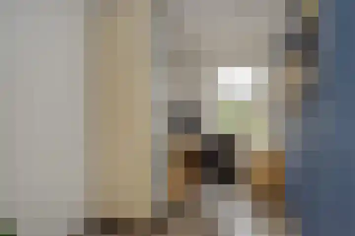 Amstel 18 Deurne thumbnail 18