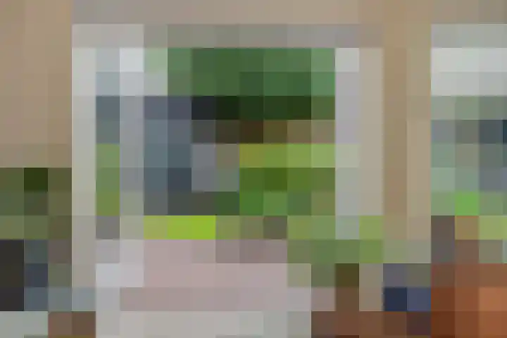 Amstel 18 Deurne thumbnail 19