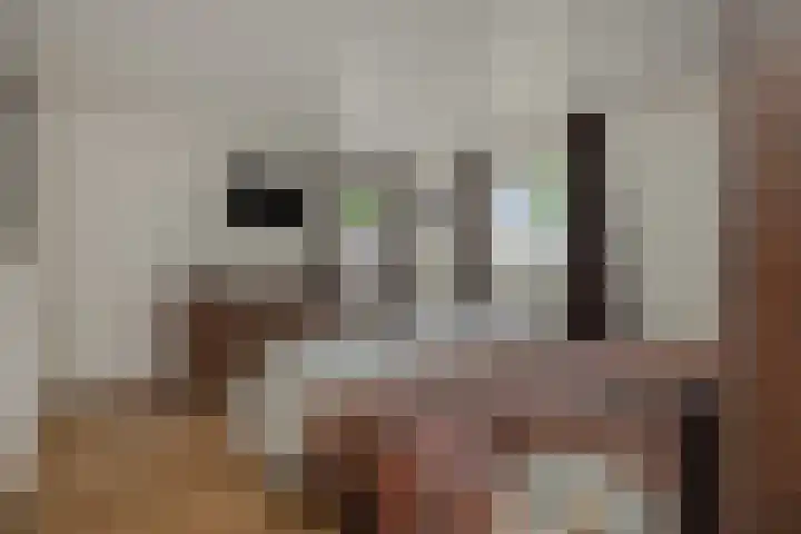 Amstel 18 Deurne thumbnail 25