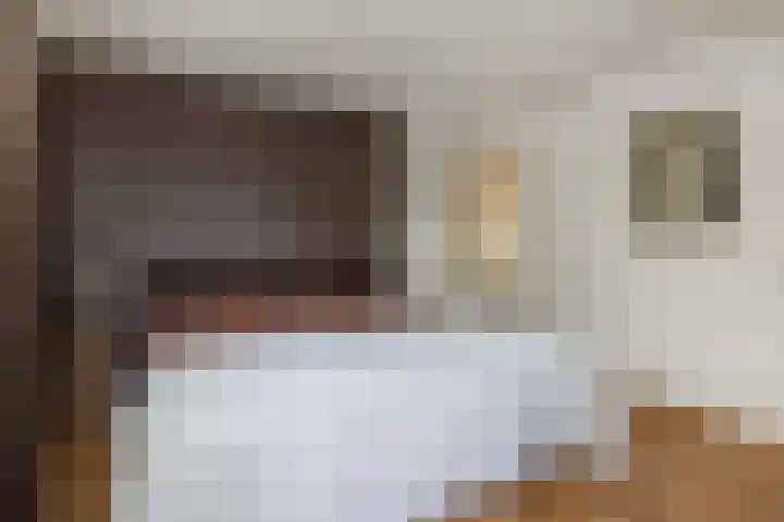 Amstel 18 Deurne thumbnail 26