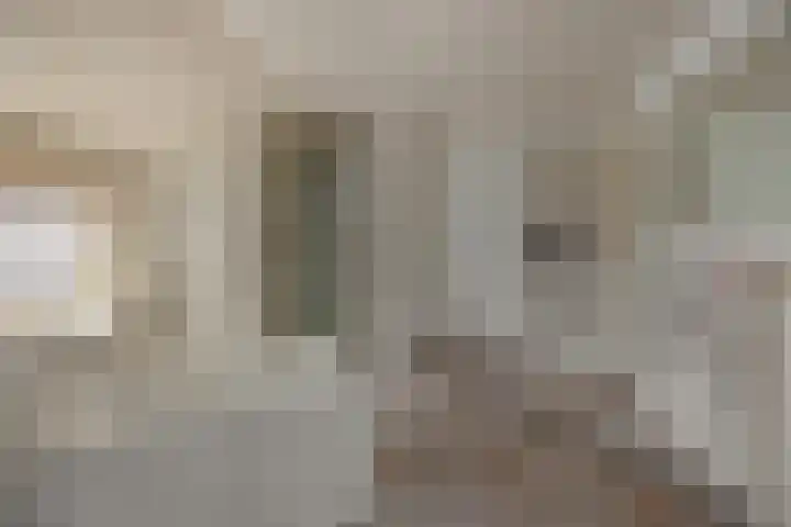 Amstel 18 Deurne thumbnail 28