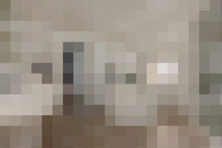 Amstel 18 Deurne thumbnail 29