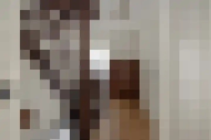 Amstel 18 Deurne thumbnail 33