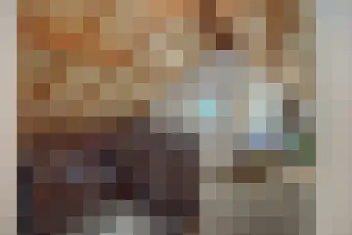 Amstel 18 Deurne thumbnail 35