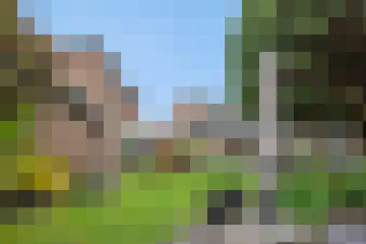Amstel 18 Deurne thumbnail 38
