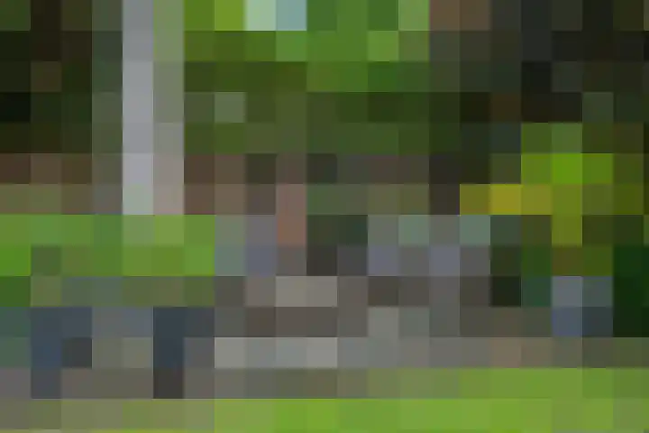 Amstel 18 Deurne thumbnail 39