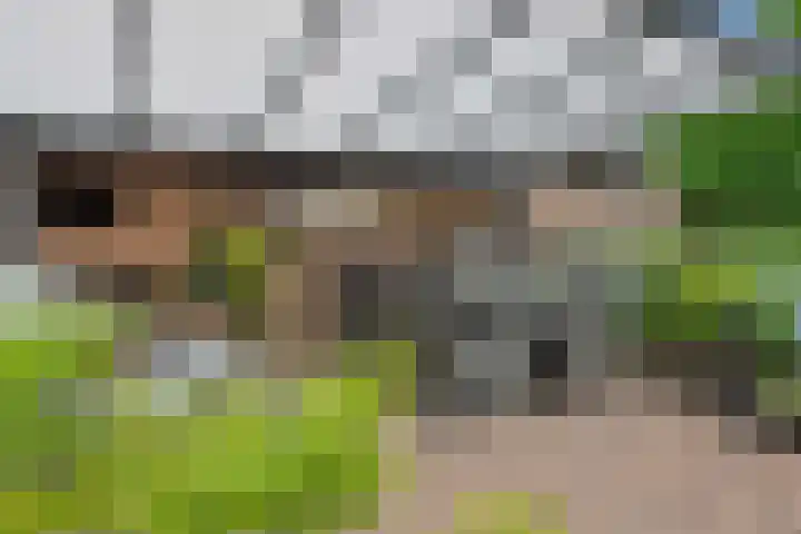 Amstel 18 Deurne thumbnail 41