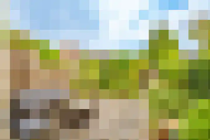 Amstel 18 Deurne thumbnail 43