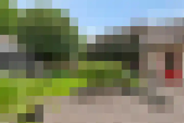 Amstel 18 Deurne thumbnail 43