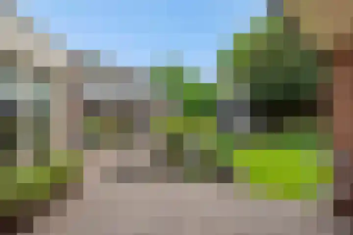 Amstel 18 Deurne thumbnail 5