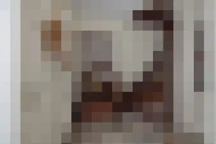 Amstel 18 Deurne thumbnail 8