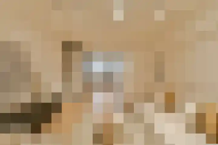 Amstel 204 B Amsterdam thumbnail 6