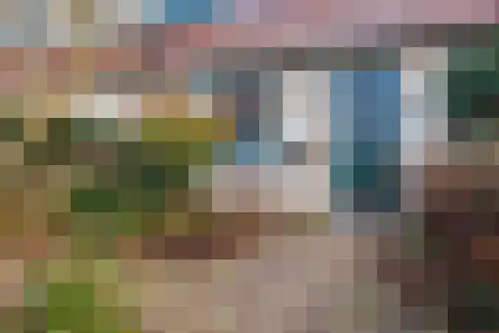 Amstel 25 Wijk bij Duurstede thumbnail 47