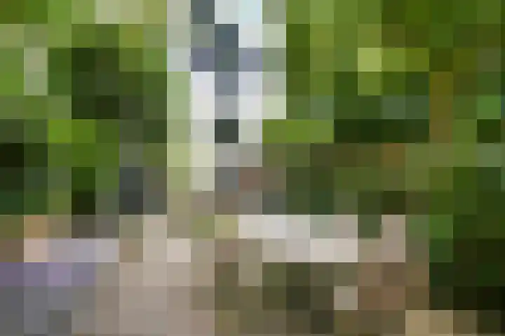 Amstel 334 Amsterdam thumbnail 10