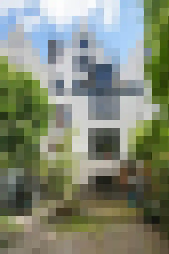 Amstel 334 Amsterdam thumbnail 11