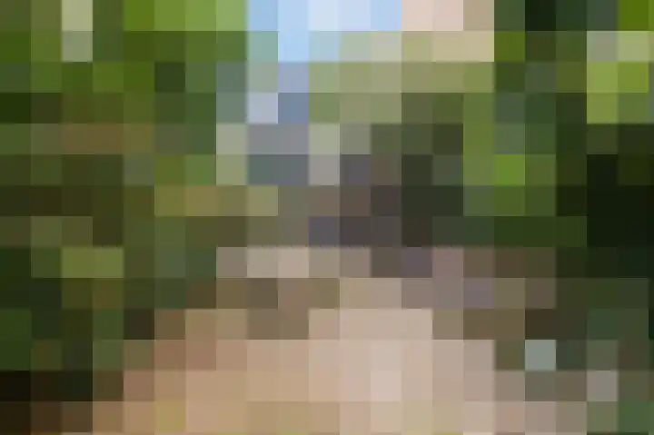 Amstel 334 Amsterdam thumbnail 9