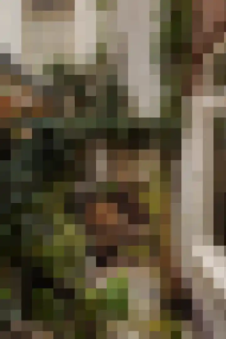 Amstel 43 1 Amsterdam thumbnail 13