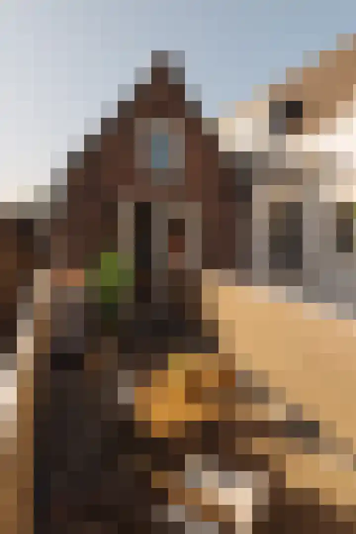 Amstel 43 1 Amsterdam thumbnail 24