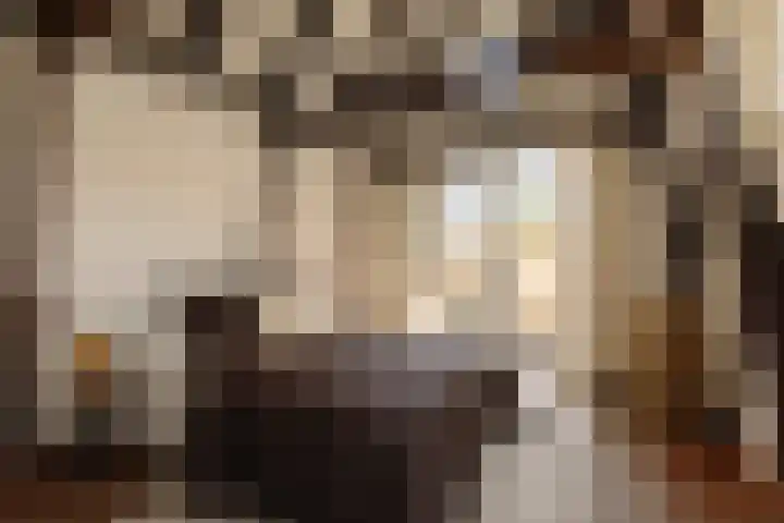 Amstel 43 1 Amsterdam thumbnail 5