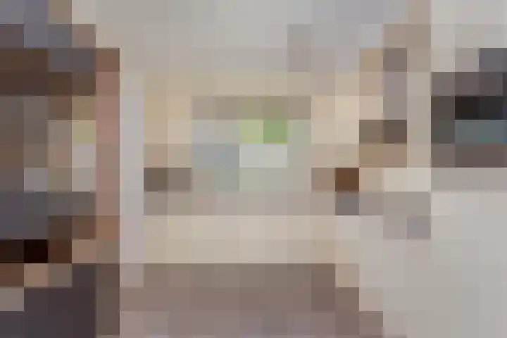 Amstel 43 Wijk bij Duurstede thumbnail 10