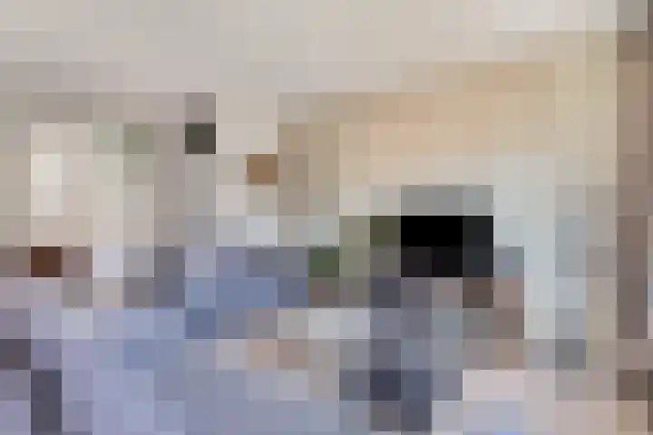 Amstel 43 Wijk bij Duurstede thumbnail 14