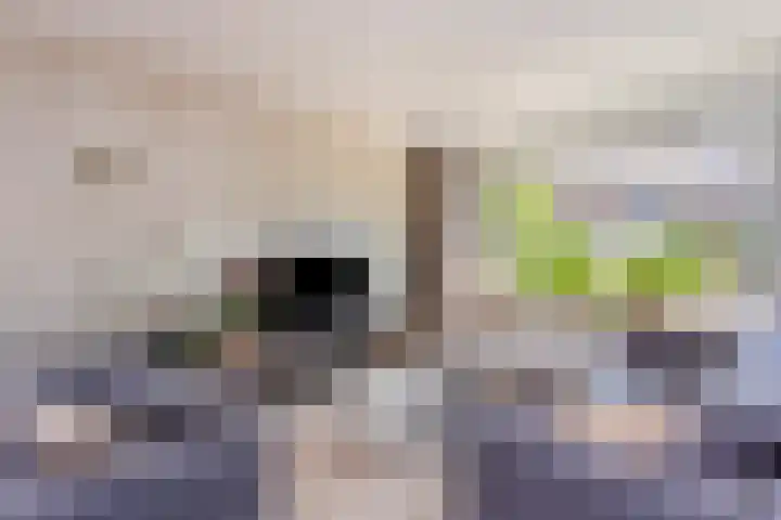 Amstel 43 Wijk bij Duurstede thumbnail 16